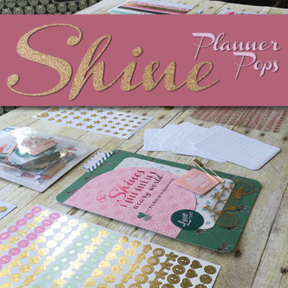 Shine Planner Pops Product
